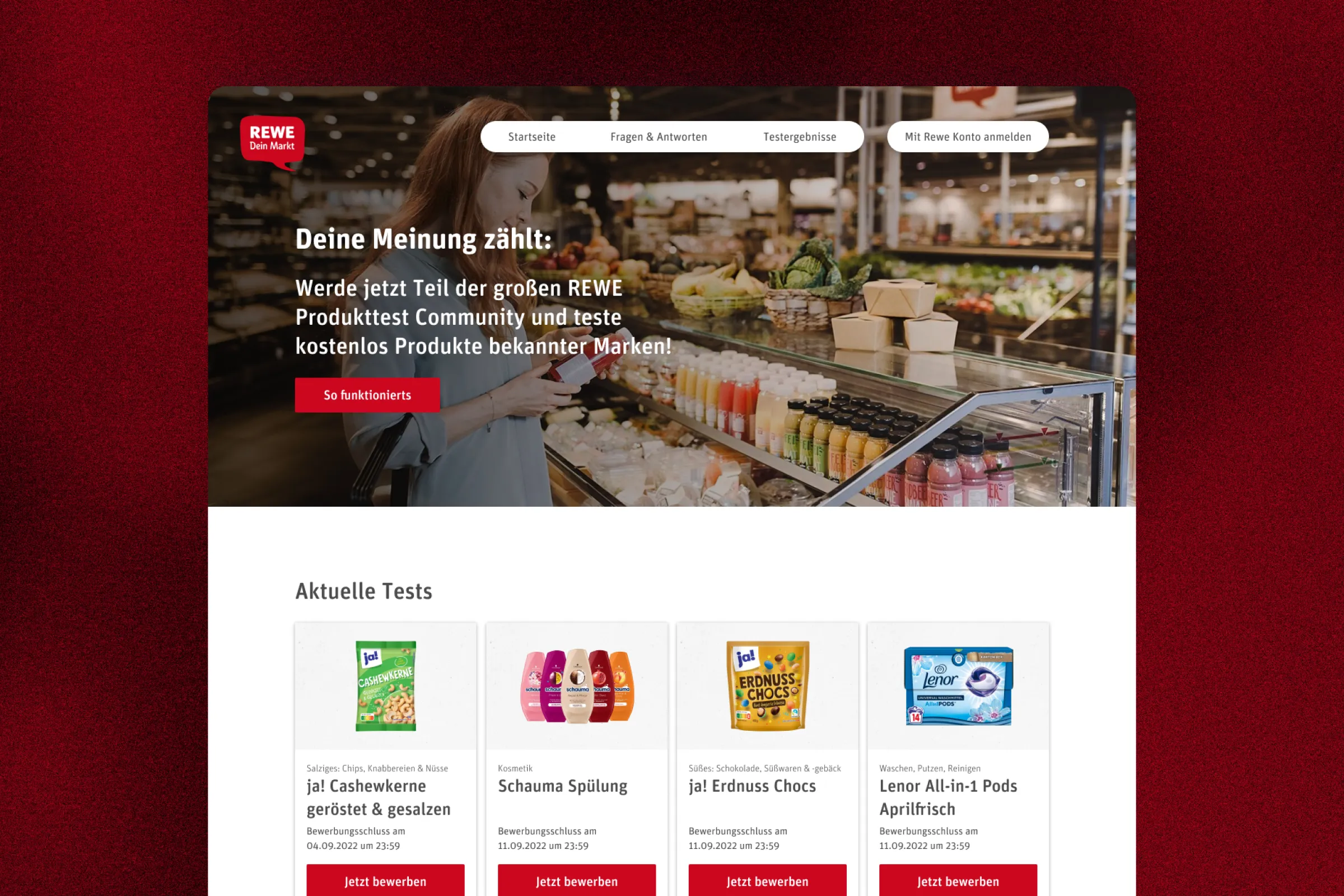 REWE Product Testing — interface
